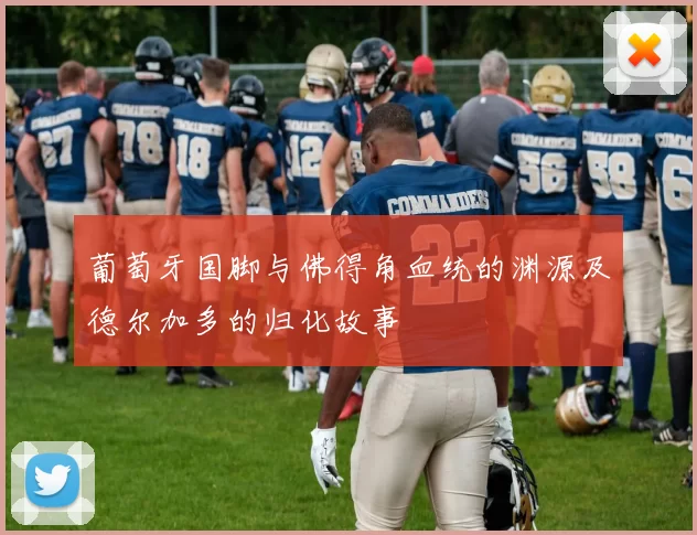 葡萄牙国脚与佛得角血统的渊源及德尔加多的归化故事