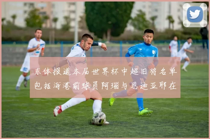 东体报道本届世界杯中超旧将名单包括海港前球员阿瑙与恩迪亚耶在内的10位球员